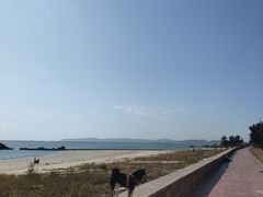 -西澳岛