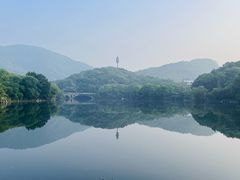 -杭州半山国家森林公园