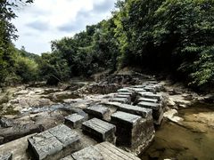 -广州白江湖森林公园