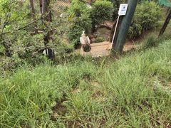 -青藏高原野生动物园