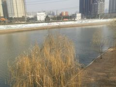 -沙澧河风景区