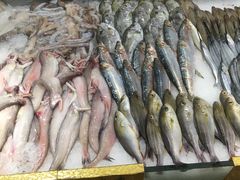 -海蓝海鲜馆(五四北店)