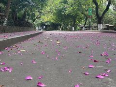 -水濂山森林公园