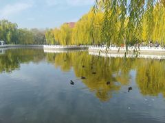 -丰台花园