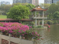 -深圳龙潭公园
