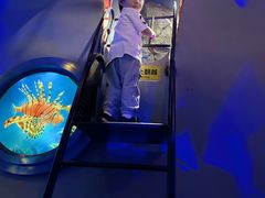 -上海儿童博物馆