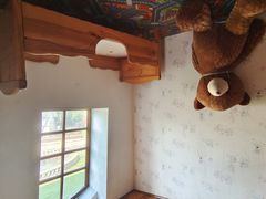 -金山农民画村-枫泾波兰倒置屋