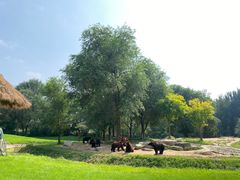 -北京野生动物园