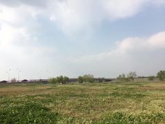 -漕湖湿地公园