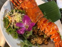 -Onion restaurant