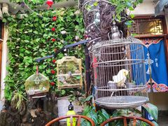 -丽江庭院·云南野生菌·海鲜火锅(鼓楼四合院店)