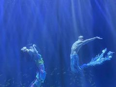 -华夏文旅海洋公园