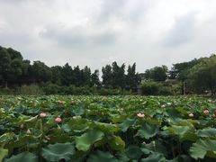 -南唐二陵