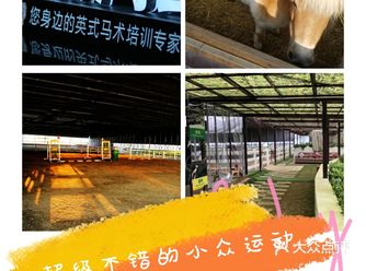 春天你们有没有想要怎么度过呢