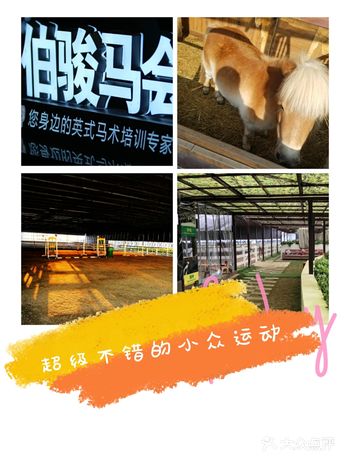 春天你们有没有想要怎么度过呢