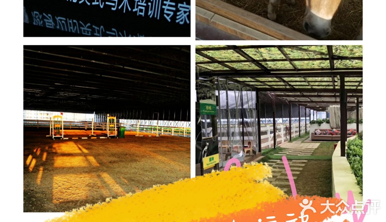 春天马术🏇🏻知道一下！