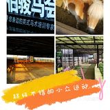 春天马术🏇🏻知道一下！