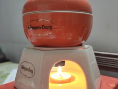 柿柿如意外带火锅冰淇淋-哈根达斯(陆家浜路店)