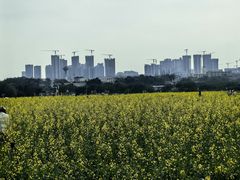-光明小镇欢乐田园