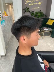 -爱维丽