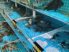 -聚德福海鲜家常菜(刘庄店)