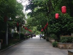 -云碧峰国家森林公园