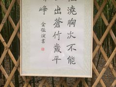 -同里国家湿地公园