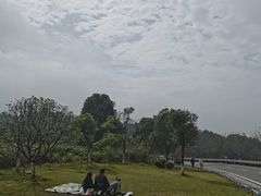 -铁山坪森林公园