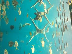 -瑞德姆美人鱼海底演艺主题餐厅(亚龙湾店)