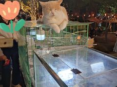 -凤城·食都
