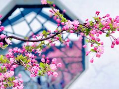 -莫愁湖公园