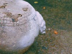 -慈城古县城景区