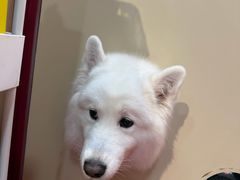-和它·交个朋友·狗咖猫咖(爱琴海店)