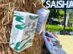 -陆家嘴中心绿地
