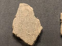 -四川大学博物馆