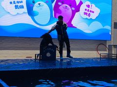 -Mr·Kuma酷么先生雪之乐园