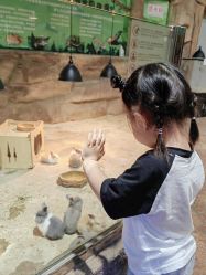 -宝燕乐园(闵行旗舰店)