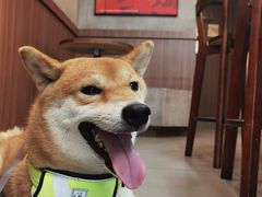 -Again Coffee Roaster(香蜜湖店)