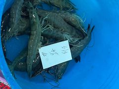 -蓝湾碧波·老字号·疍家非遗海上餐厅