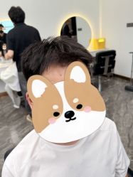 -YESIDO椰岛造型