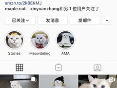 -袖虎·猫馆(体育西路店)