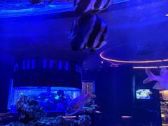 -上和臻品中国菜(花园街店)