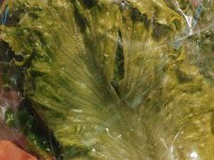 -新石器烤肉(周浦万达店)