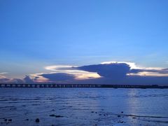 -宝安西湾红树林湿地公园