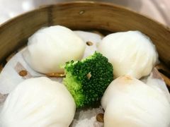 -东方御宴海鲜酒楼(棕泉酒店)