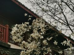 -堤角公园