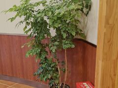 -老雒阳面馆·水席(洛宁高速路口店)