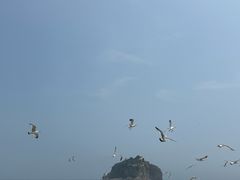 -棒棰岛宾馆景区