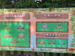 -广州长隆飞鸟乐园