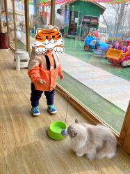 -萌宠亲子动物乐园(槐房万达店)